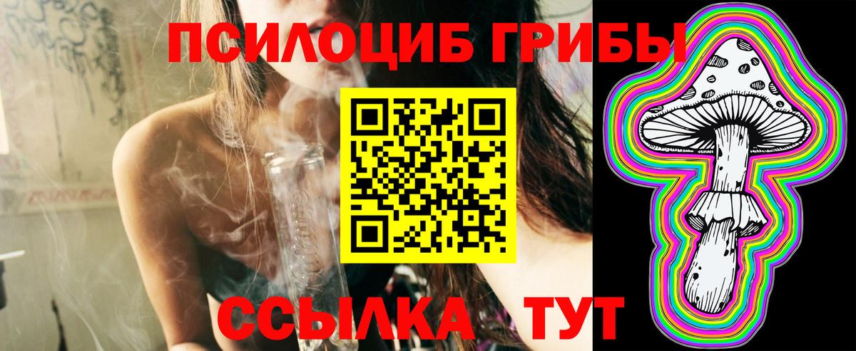 Кстово  Галлюциногенные грибы прущие грибы  Вход с VPN  Псилоцибиновые грибы мухоморы 